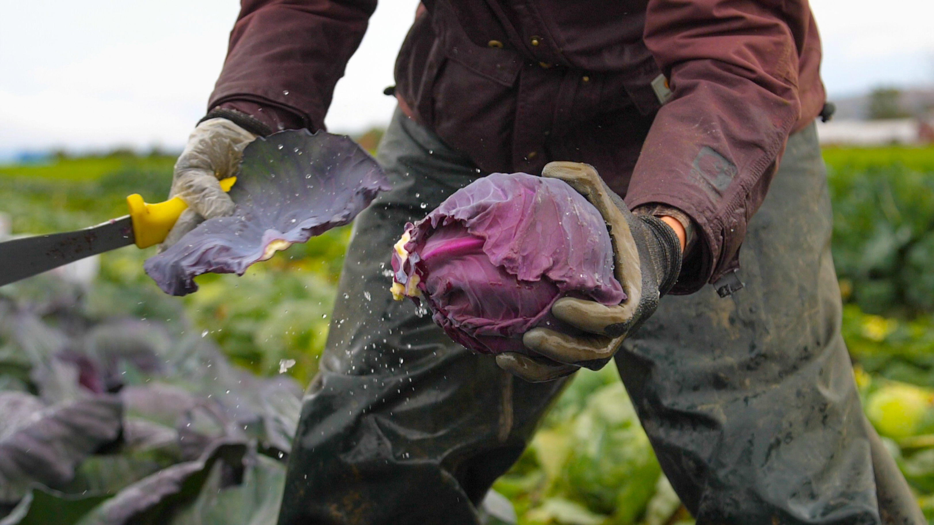 Artisanal food makers flock to Northeast's Food Building